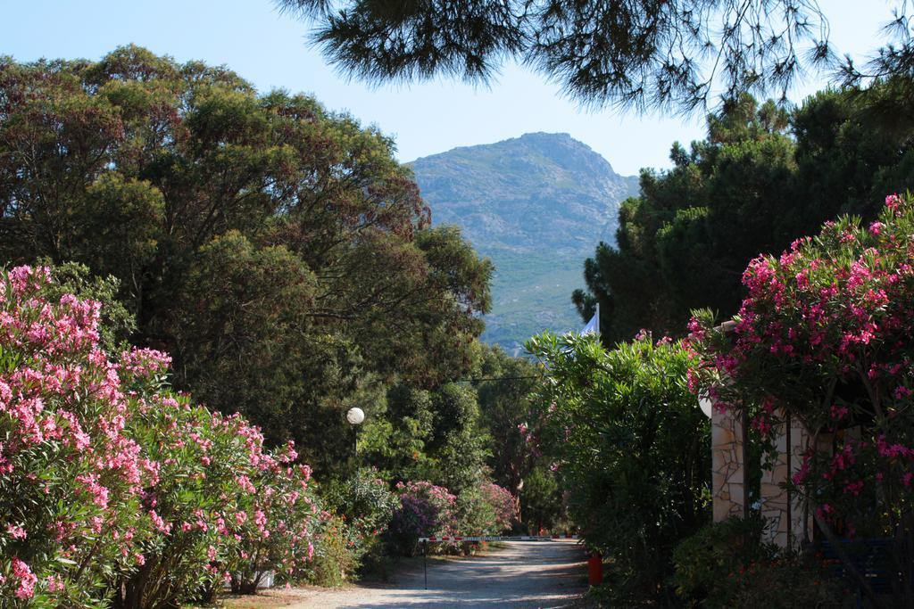 קאלבי Camping Bella Vista מראה חיצוני תמונה